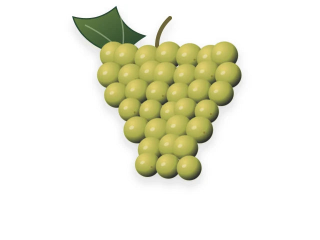 CHARDONNAY