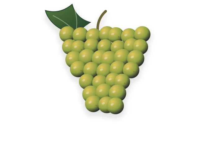 CHENIN BLANC
