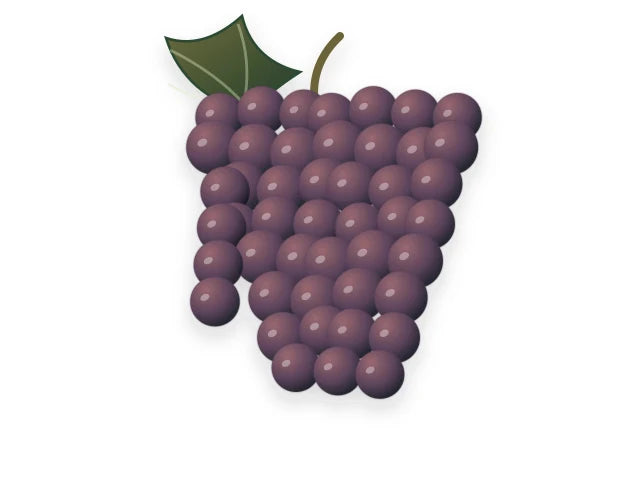 NEBBIOLO