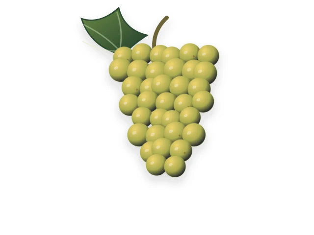 RIESLING