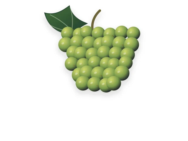 SAUVIGNON BLANC