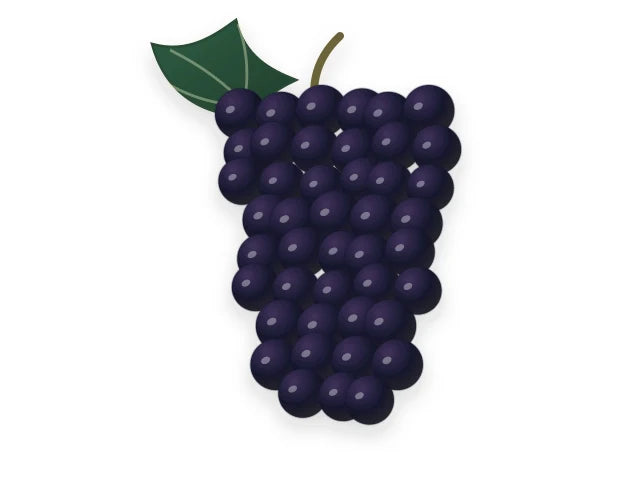 SYRAH / SHIRAZ