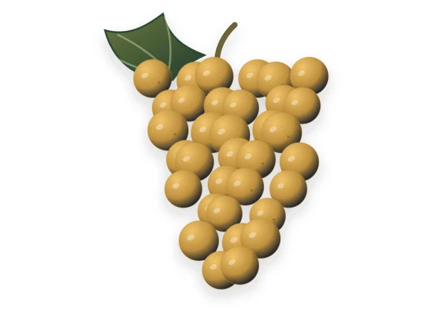 VIOGNIER
