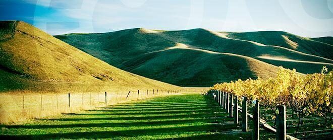 New Zealand - Hãhã