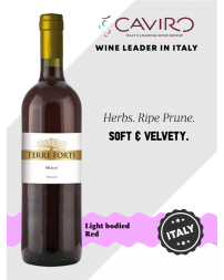 Terre Forti Merlot