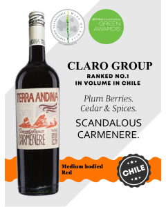 Terra Andina Lifestyle Carmenere