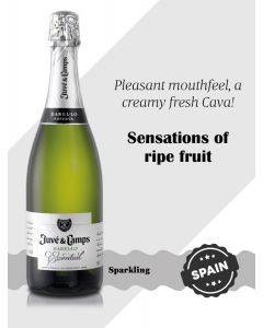 Juvé Y Camps Essential Xarello Cava