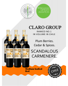 Terra Andina Lifestyle Carmenere (6-Btl Bundle Promo)
