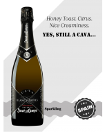 Juve Y Camps Blanc de Noir