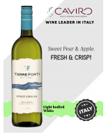 Terre Forti Pinot Grigio